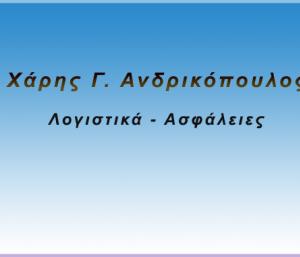 ΑΝΔΡΙΚΟΠΟΥΛΟΣ ΛΟΓΙΣΤΙΚΑ - ΑΣΦΑΛΕΙΕΣ ΛΕΧΑΙΟ